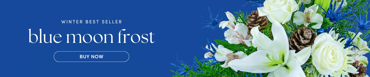 Winter Best Seller Blue Moon Frost Buy Now